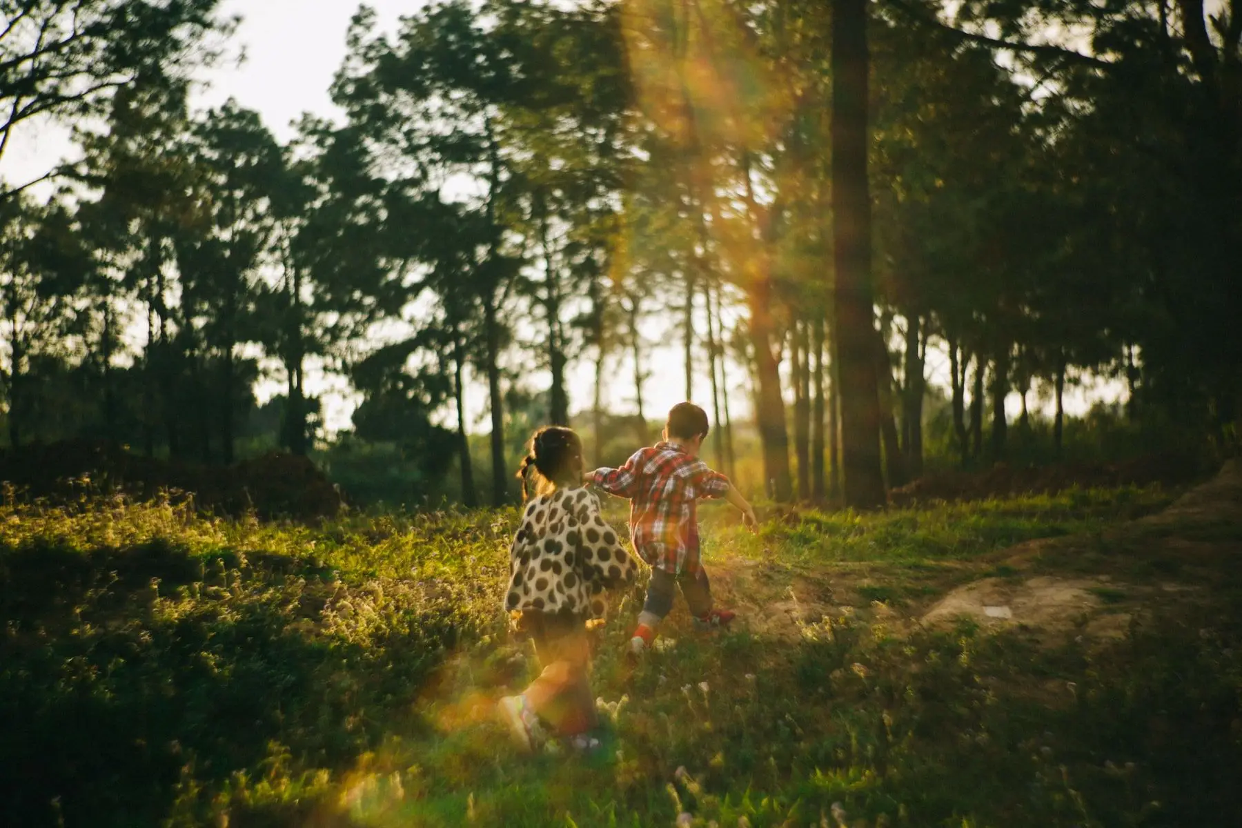 Two children running through a sunlit forest at golden hour.